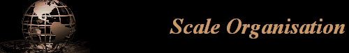 Scale Organisation
