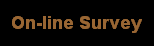 On-line Survey