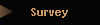 Survey